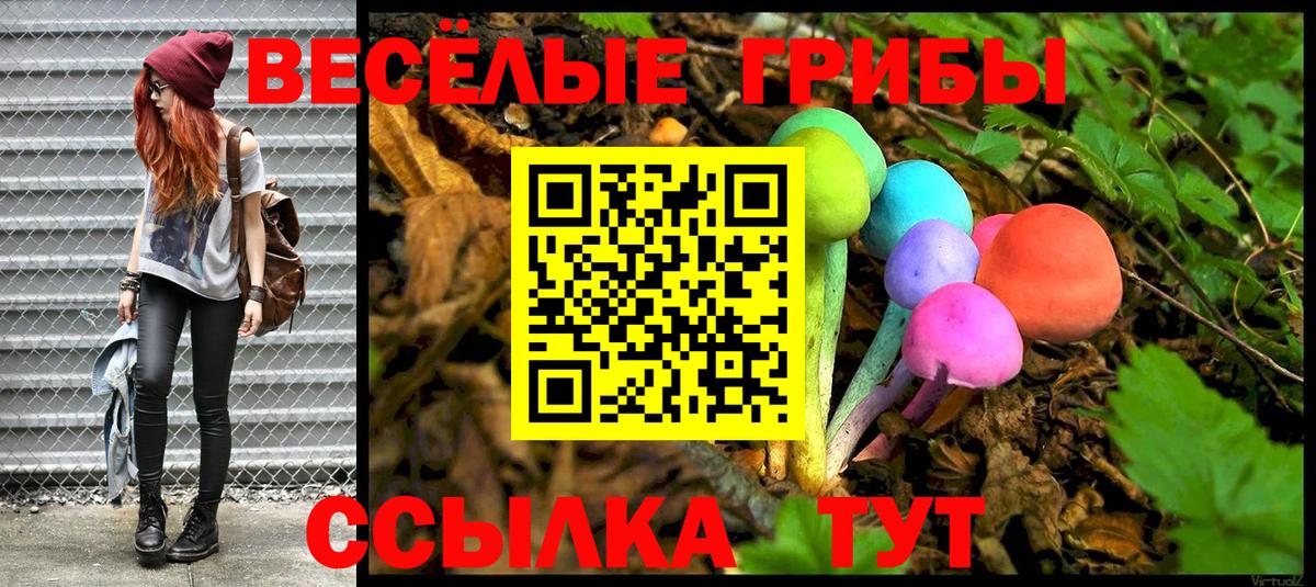 Галлюциногенные грибы Psilocybine cubensis Нерюнгри